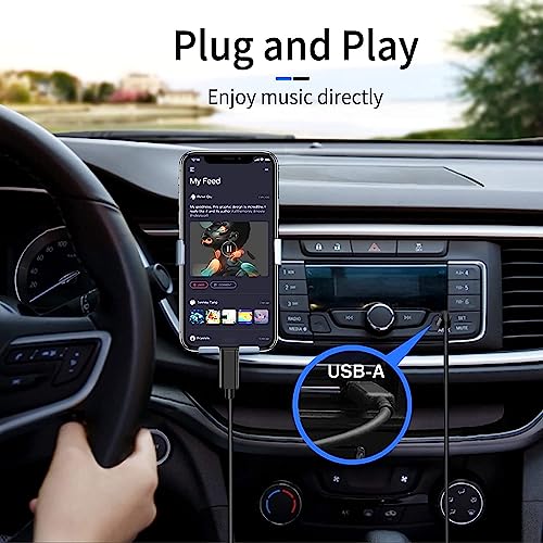 iPhone 15/16 Car Carplay Cable, USB A to USB C Cable for iPhone 15/16, 15/16 Pro Max, 15/16 Plus, iPad 10th Gen, iPad Pro 12.9/11, Air 5th/4th Gen,Mini 6th Gen Charger Cord, Car Charging Cable(Black)