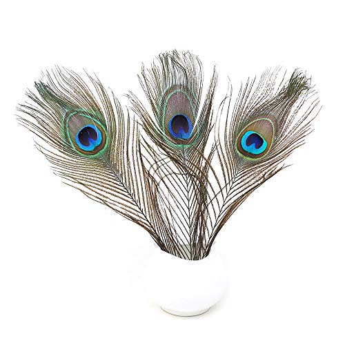 12 PCS Real Natural Peacock Eye Feathers 10-12 inch for DIY Craft, Wedding and Holiday Decorations