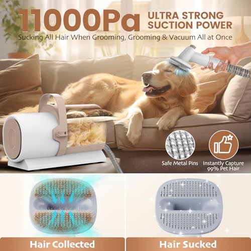FIXR Dog Grooming Vacuum & Dog Hair Vacuum, 11000Pa Suction Power Dog Vacuum for Shedding Grooming, Pet Vacuum Grooming Kit with 4 Grooming Tools, Low Noise, 2.5L, Perfect for Pet Hair Grooming, PG50