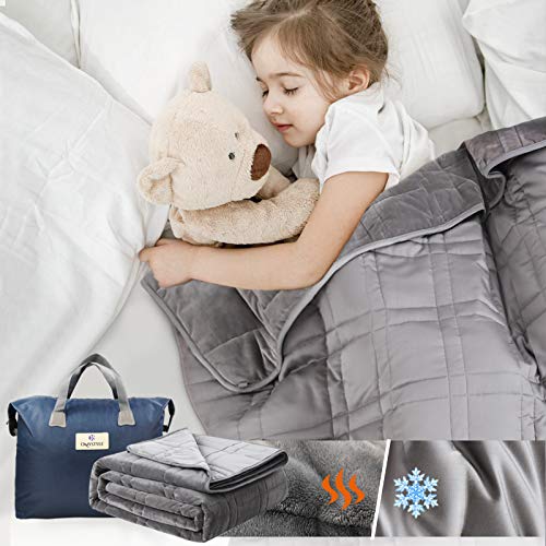 Double-Sided Weighted Blanket King Size 30lbs(88''x104'', All Season Use), Warm Short Plush and Cool Tencel Reversible Weighted Blanket, California King Size for Adults & Couple - Carry Bag Included