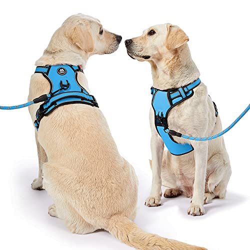 NESTROAD No Pull Dog Harness,Adjustable Oxford Dog Vest Harness with Leash,Reflective No-Choke Pet Harness with Easy Control Soft Handle for Small Dogs(Small,Vintage Blue)
