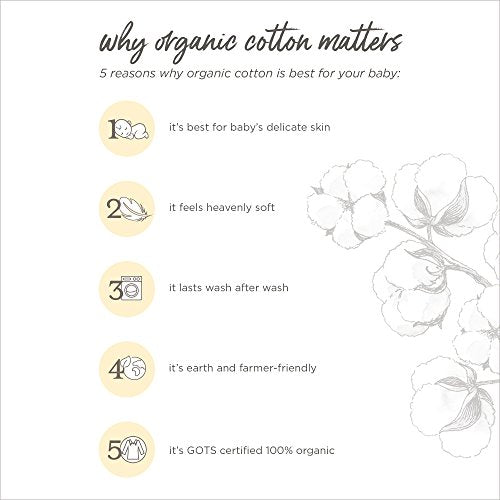 Burts Bees Baby Infant Reversible Blankets 100% Organic Cotton GOTS Certified - A-Bee-C Prints with Quilting Pattern Soft Nursery Blanket with 100% Polyester Fill for Size 30 x 40 Inch