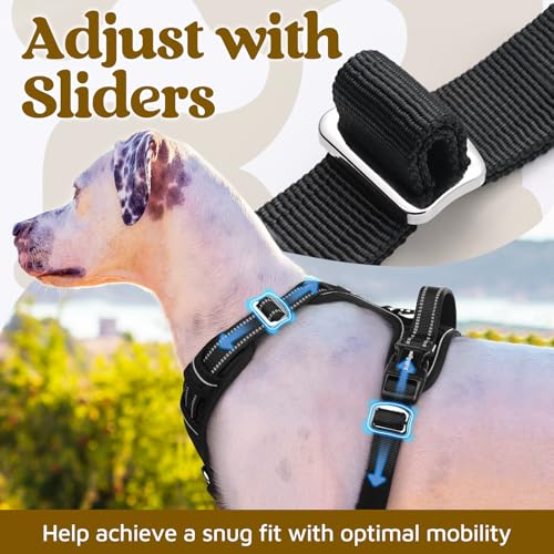rabbitgoo Dog Harness Small Sized, No Pull Dog Vest Harness with 3 Buckles, Adjustable Soft Padded Pet Harness with Easy Control Handle and Reflective Strips, Black, S