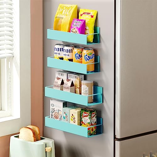 Vetacsion 4 Pack Moveable Fridge Magnetic Spice Racks,Metal Red