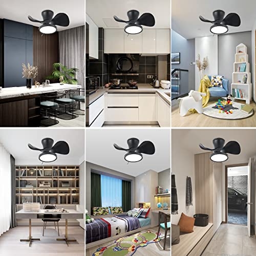 TALOYA 52 inch Ceiling Fans with Lights,Remote Control Multifunctional Quiet Fan with Three Color Temperature and Dimmable Light with Reversible Blades Black