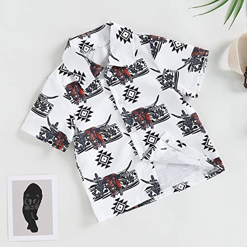 Kayotuas Western Baby Boy Clothes Cowboy Shirt Romper Long/Short Sleeve Button Down Onesie Bodysuit Infant Gentleman Outfits (Short Sleeve-White Highland Cow, 3-6 Months)