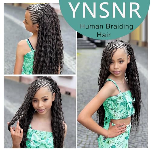 YNSNR Water Wave Bulk Human Braiding Hair for Boho Braids 100% Human Hair Unprocessed Brazilian Curly Human Hair for Human Hair Extensions 1 Braids Per of 1 pack 50g 24 Inch
