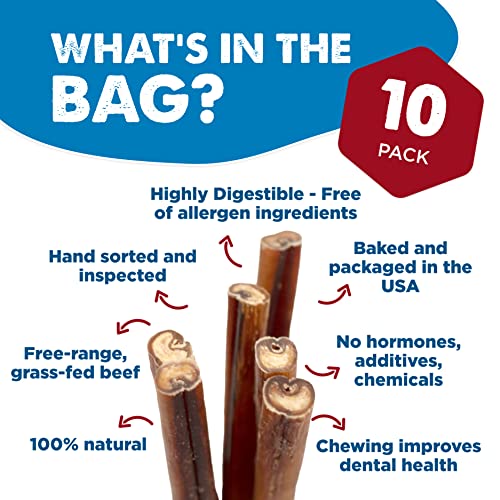 Best Bully Sticks Premium Hickory Smoked 100% Natural Thick 6 Inch Bully Sticks for Dogs - Odor Free with Smoky Aroma - No Additives Free-Range Grass-Fed Beef, Grain-Free Dog Chews - 5 Pack
