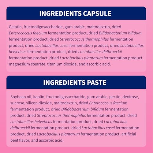 Proviable Digestive Health Supplement Kit with Multi-Strain Probiotics and Prebiotics for Medium to Large Dogs - with 7 Strains of Bacteria, 30 mL Paste and 10 Capsules