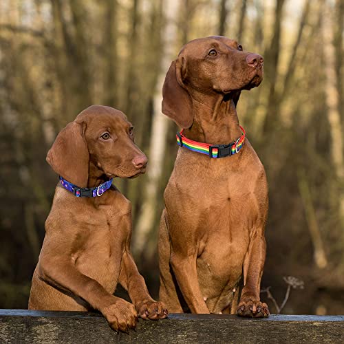 Alainzeo Dog Collar with The Diamond Pattern for Small Medium Large Dogs, Adjustable Soft Puppy Collars with Quick Release Buckle (S Neck 11.0''-15.7'')