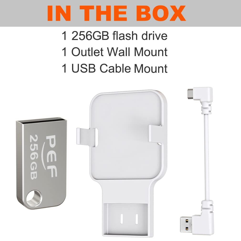 256GB Blink USB Flash Drive and Outlet Wall Mount for Blink Sync Module 2, Space Saving for Blink Outdoor Indoor Security Camera (Blink Sync Module 2 is NOT Included)
