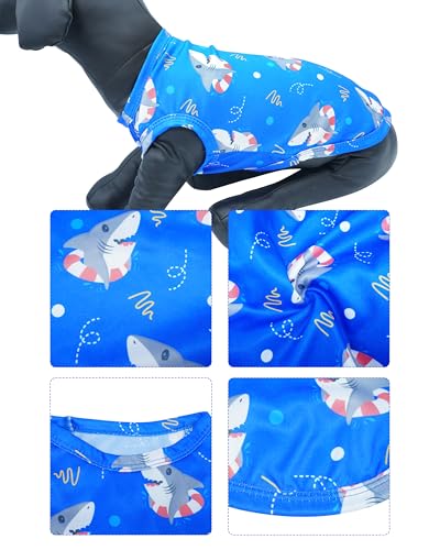PET SHOW 4 Pack Paw Bone Printed Dog Clothes Shirts Soft Vest Lightweight Sleeveless Cats Doggies T-Shirts Puppies Tank Top Tee for Small Medium Dogs White Black Pink Blue (Small, Blue for Boys)