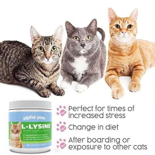 Alpha Paw - Human Grade for Pets - Cat Lysine Supplement - Extra Servings 5-10 Month Supply - Natural Lysine (8 Ounces/227 Grams)