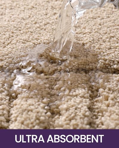 DEXI Bathroom Rugs 16"x24", Non Slip Bath Mats for Bathroom Floor, Ultra Soft and Absorbent Bath Rug Shower Carpet, Machine Washable, Beige
