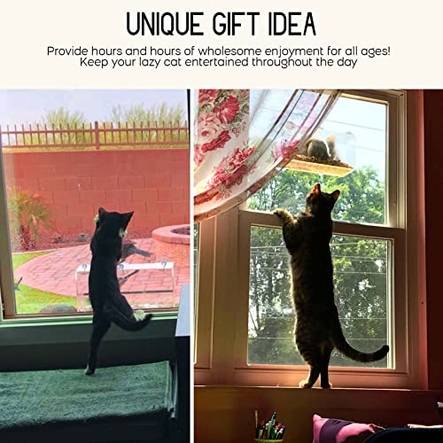 MrCrafts Window Bird Feeder for Outside with Strong Suction Cups, Fits for Cardinals, Finches, Chickadees etc