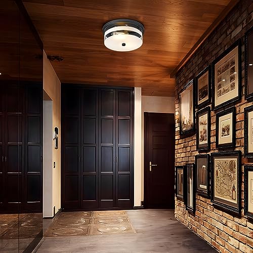 Flush Mount Ceiling Light with Clear Glass Shade, 2-Light Indoor Outdoor Farmhouse Lighting Flush Mount Lights for Kitchen Bedroom Porch Living Dining Room