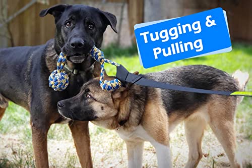 LOOBANI Outdoor Bungee Tug Toy,Dog Toy Hanging from Tree for Small to Large Dogs, Interactive Exercise Play Cord & Tether with Chew Rope Toy (Black)