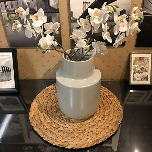 HomeDo Large Round Woven Placemats Set of 4 for Dining Table, Water Hyacinth Straw Braided Placemat, Heat Resistant Non-Slip Weave Placemats Handmade (Water Hyacinth-4pack, Round 11.8")