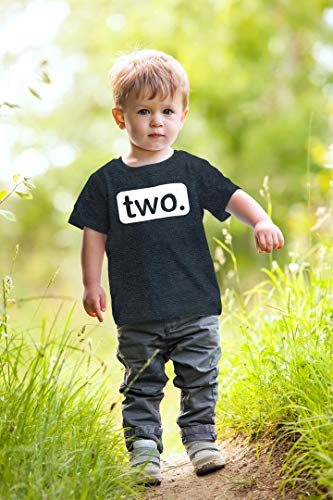 2nd Birthday Shirt boy 2 Year Old Toddler Kids Outfit Second Two t-Shirt Party (Charcoal Black, 2 Years)