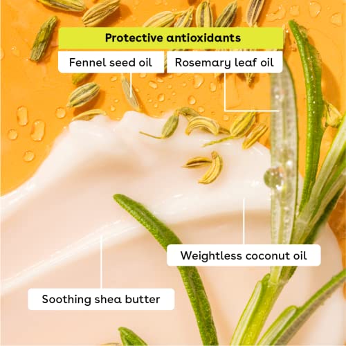 eos FlavorLab Super Soft Shea Lip Balm Sticks - Totally Tropical Variety Pack | Lip Moisturizer | 24 Hour Hydration | Gluten Free Lip Care| 4 Pack,Dragonfruit