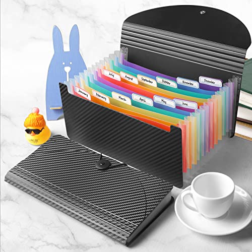 CASAON A6 Black Plastic File Folder with 13 Pockets for Storage and Organization