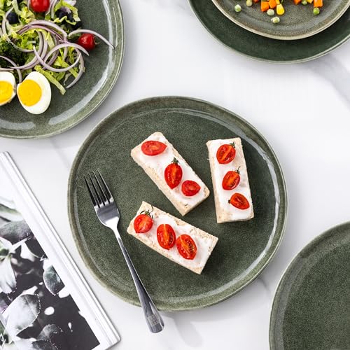 AmorArc Ceramic Plates Set of 6, 8.5 Inch Handmade Reactive Glaze Stoneware Plates set for Dessert, Salad, Appetizer, Small Dinner Plates, Microwave & Dishwasher Safe, Scratch Resistant