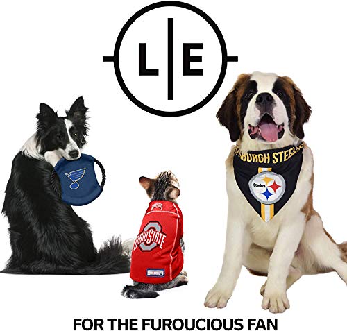 Littlearth Las Vegas Raiders NFL Premium Pet Jersey