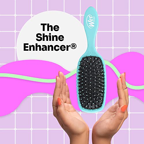 Wet Brush Shine Enhancer Aqua - Natural Boar With Ultra-Soft IntelliFlex Leaves Shiny And Smooth For All Types - For Women, Men, Wet & Dry