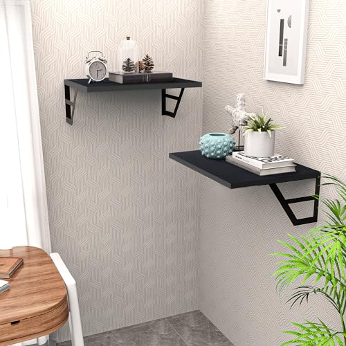 Tectocker-DOU Set of 2 Deep Floating Shelves; Wall Mounted Book Shelf for Living Room, Bedroom Shelves for Wall Decor; Shelves for Wall Storage; Shelving with Metal Brackets, 12 Inches (Black)