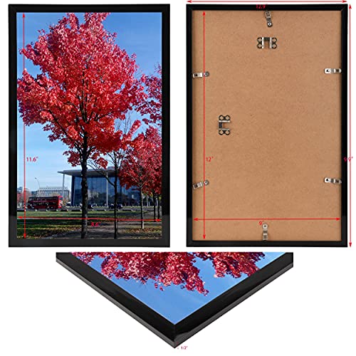 Medog 8x10 Picture Frame Black Display Pictures 8x10 Document Certificate Frames Wall Hanging Photo Frame 8x10 Picture Frame, Black, 1 Pack