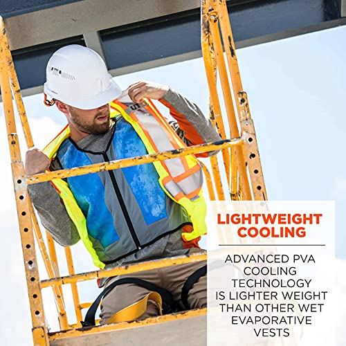 Ergodyne Chill-Its 6667 Cooling Vest, Evaporative PVA Material for Fast Cooling Relief,Blue, Medium