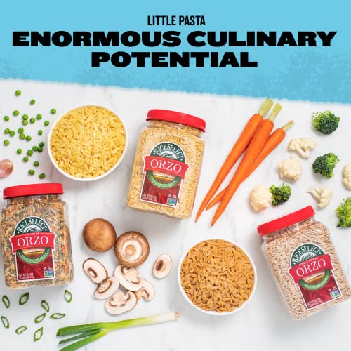 RiceSelect Orzo Rice-Shaped Pasta, Premium Non-GMO Orzo Pasta, 26.5-Ounce Jar