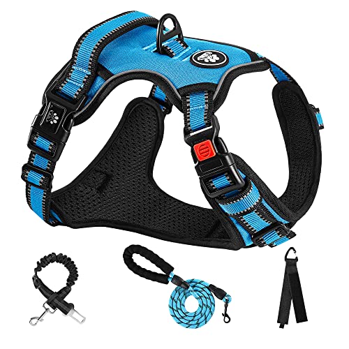 NESTROAD No Pull Dog Harness,Adjustable Oxford Dog Vest Harness with Leash,Reflective No-Choke Pet Harness with Easy Control Soft Handle for Small Dogs(Small,Vintage Blue)
