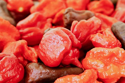 Unpretentious Whole Dried Carolina Reaper Chiles, 25 Count, Extremely Spicy Chiles, Hot Sauce
