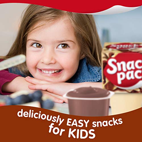 Snack Pack Pudding Cups Family Pack - 12 CT