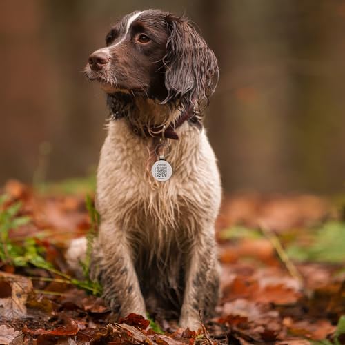 Dokitag QR Code Pet ID Tag,QR Code Dog Tag,Dog ID Tag, Pet Online Profile - Scan QR Receive Instant Pet Location Alert Email, Lightweight Zinc Alloy Dog Tag (Black, Small)