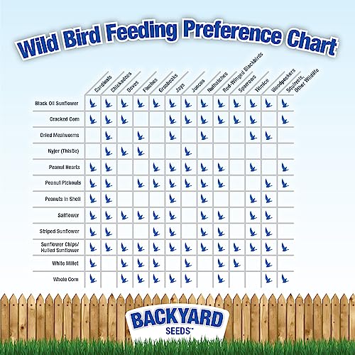 Backyard Seeds Safflower Bird Seed for Cardinals (10 Pounds)