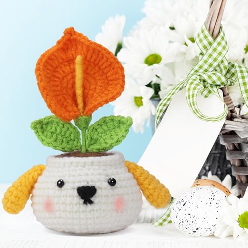 Nitlak Crochet Kit for Beginners, Crochet Starter Kit, Crocheting Cartoon Pumpkin Ghost Kits with Step-by-Step Video Tutorials, Plenty of Yarn, Complete Starter Knitting Kit for Adult, DIY Present