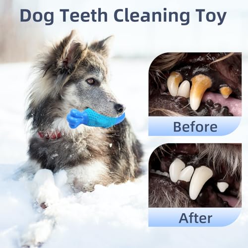 WinTour Tough Dog Toys for Aggressive Chewers Large Breed, Indestructible Dog Toys for Large Dogs, Dog Chew Toys for Aggressive Chewers, Durable Dog Toys, Squeaky Dog Toys, Large Dog Toys for Big Dogs