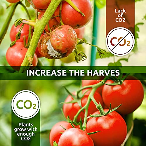 CO2 Boost for Indoor Grow Tent - Ready to Use - Natural Carbon Dioxide CO2 Boost for Indoor Grow Rooms - One XL CO2 Bucket Covers up to an 4'x4’ Area - Pro CO2 XL Bucket