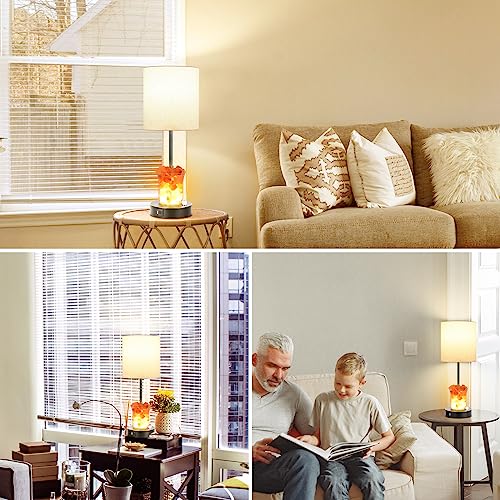 Dott Arts Touch Table Lamps with USB Ports, 3-Way Dimmable Bedside Nightstand Lamp with Salt Lamp,Table Lamps for Living Room Bedrooms Reading Room,Bulbs Included