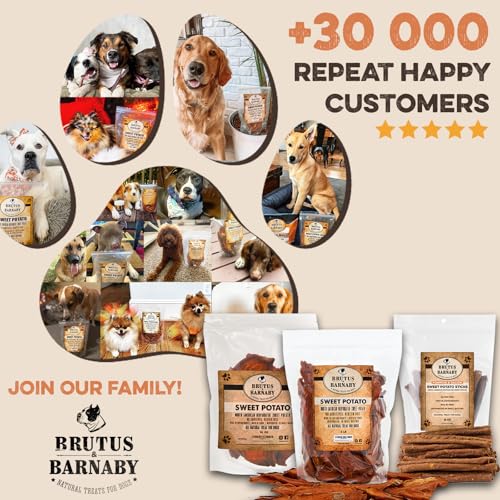 Sweet Potato Slices - Dog Treats - Single Ingredient Grain Free for Dogs, Best High Anti-Oxidant Healthy 100% Natural Thick Cut Dried Sweet Potato Dog Treats With No Added Preservatives (8oz)