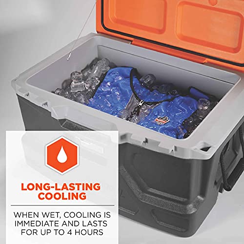 Ergodyne Chill-Its 6667 Cooling Vest, Evaporative PVA Material for Fast Cooling Relief,Blue, Medium