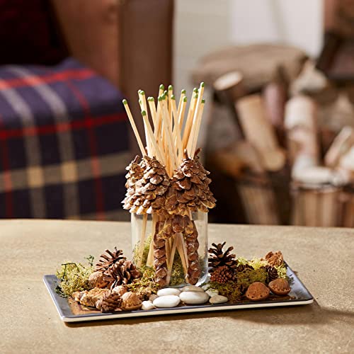 Yankee Candle Balsam & Cedar Scented, Classic 22oz Large Jar Single Wick Candle, Over 110 Hours of Burn Time, Ideal Holiday Gift