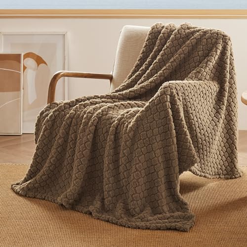 Bedsure Blue Throw Blanket for Couch - Super Soft Cozy Blankets for Women, Cute Small Blanket for Girls, Ashley Blue, 50x60 Inches