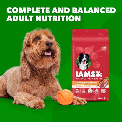 IAMS Minichunks Adult Dry Dog Food Lamb & Rice Recipe Dog Kibble, 30 lb. Bag
