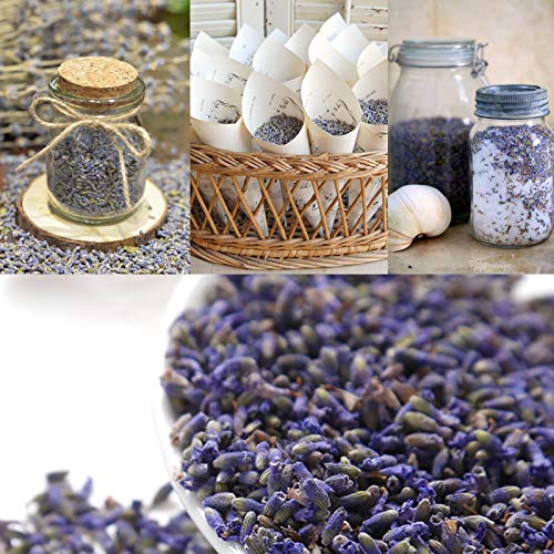 CoolCrafts Dried Lavender Flowers, Bulk Wholesale Fragrant Lavender for Wedding Toss, Crafts, Sachets - 1 Pound