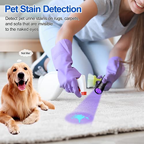 Black Light UV Flashlight,Vansky Blacklight 12 LED Urine Detector For Dog/Cat/Pet Urine & Dry Stains and Bed Bug On Carpets/Rugs/Floor,Matching with Pet Odor Eliminator