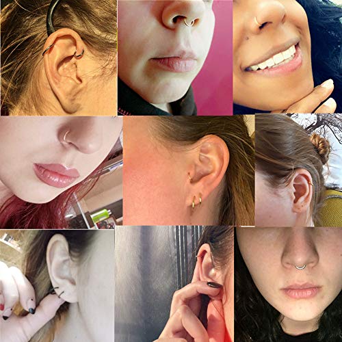 2pcs Pair 12mm Septum Ring Silver Nose Rings Hoop 16 Gauge Nose Hoop Helix Daith Tragus Hinged Segment Septum Clicker Lip Rings 316L Surgical Steel 16g Cartilage Earring Nose Piercing Jewelry