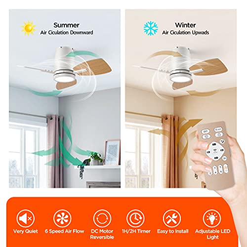 TALOYA Small Ceiling Fans with Lights and Backlight, 32 inch Ceiling Fan with Remote Control, Quiet Reversible DC Motor, 5 CCT Seleactable Modern Ceiling Fans for Bedroom Dining Room Patio White